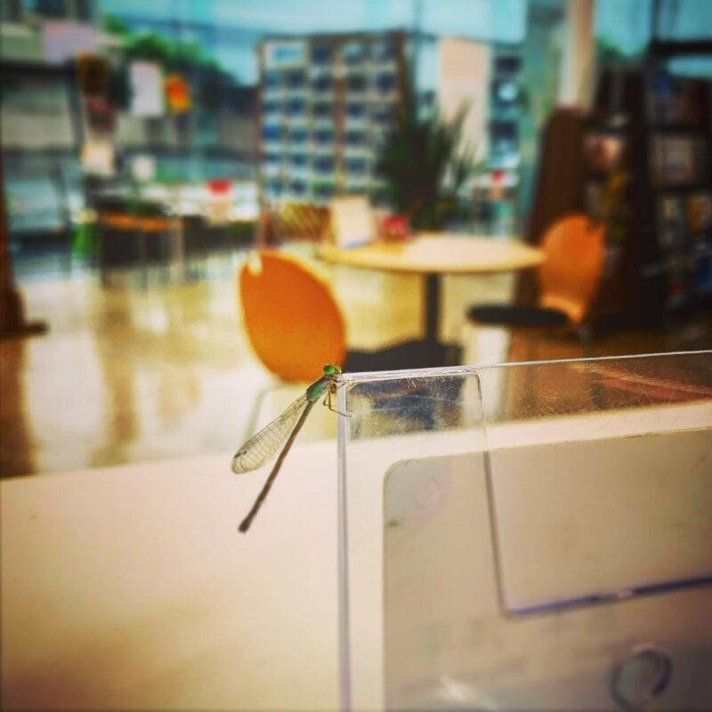 皆様のご来店を 心よりお待ちしております。