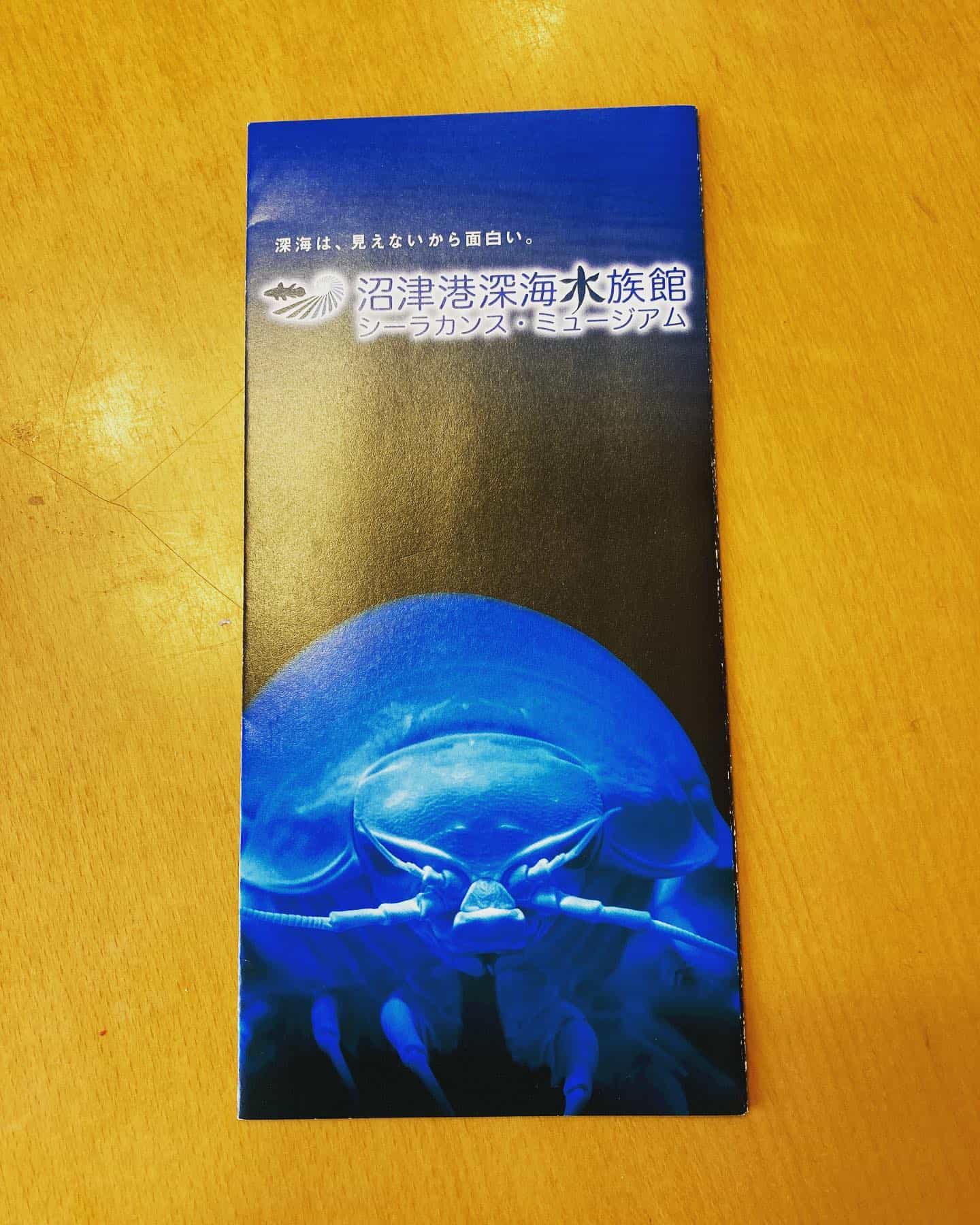 プリンを購入しました。