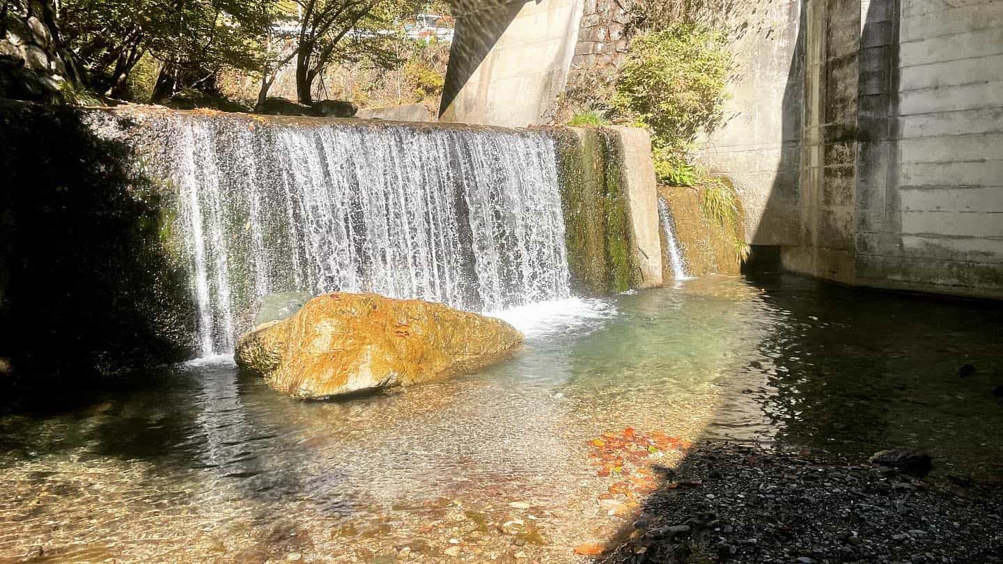 また渓流に行ってきました。
