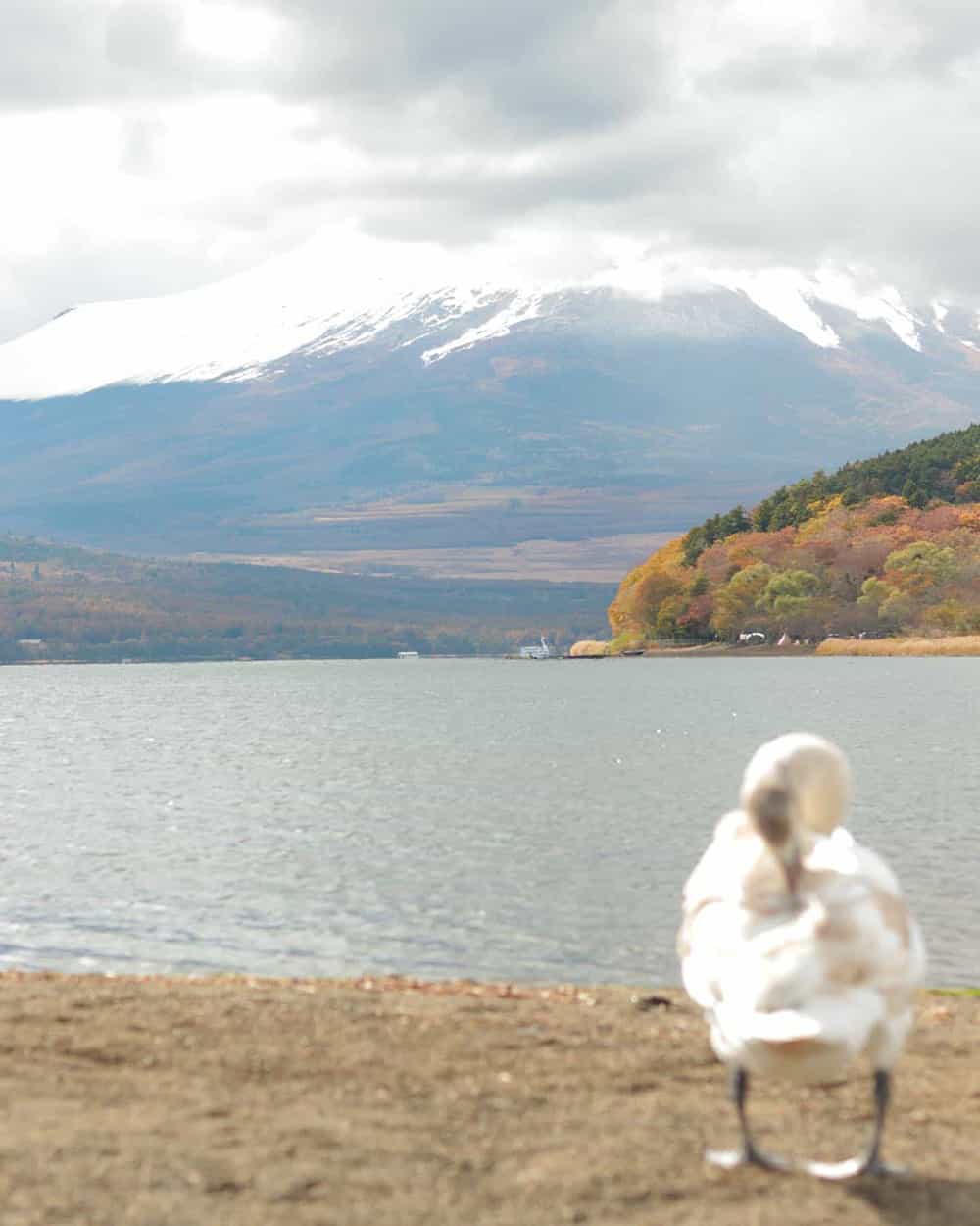 ツーリングで山中湖へ