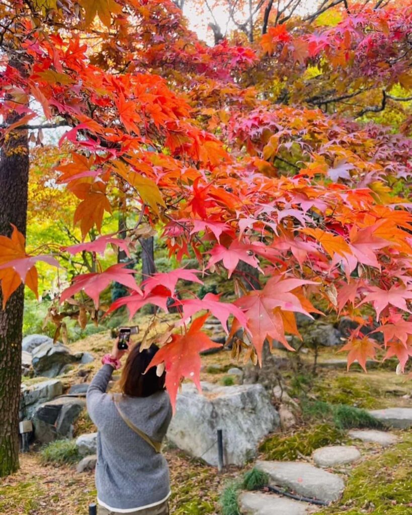季節を感じてきました🍁✨