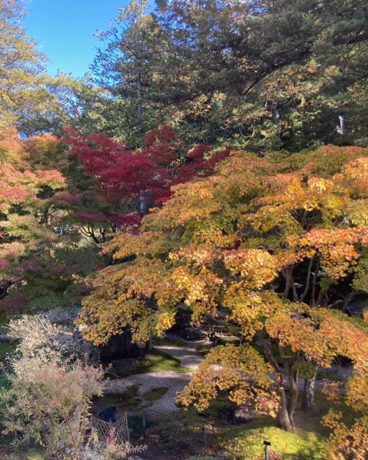 季節を感じてきました