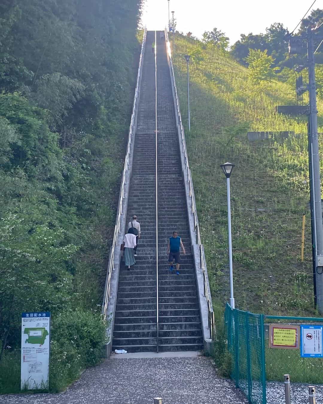 すごい階段見つけました。