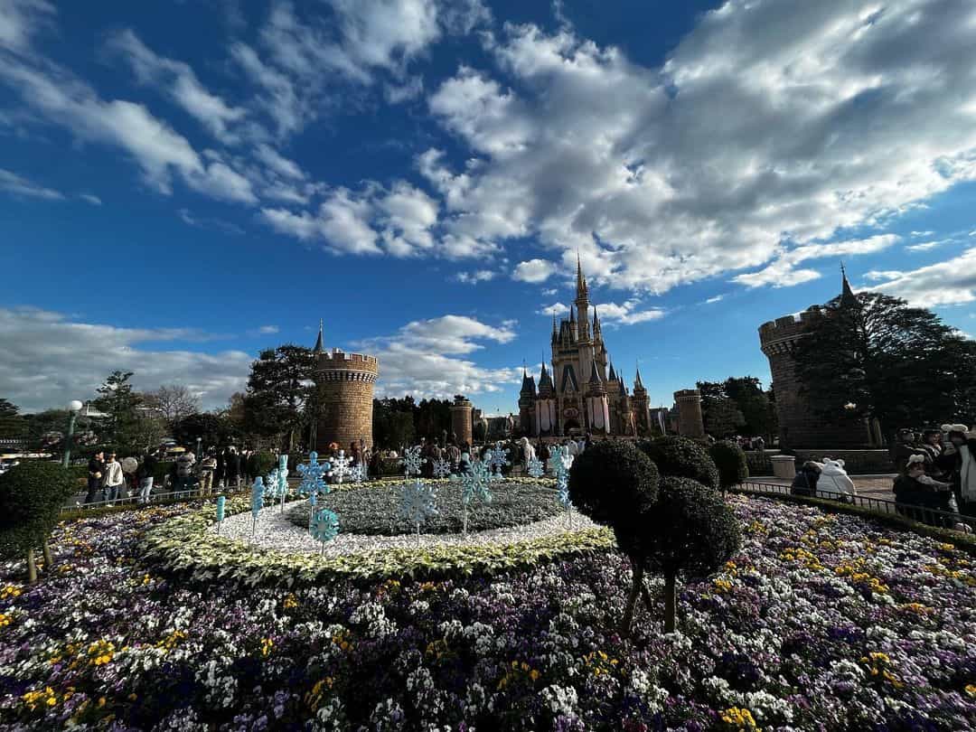 ディズニーランドに行ってきました！