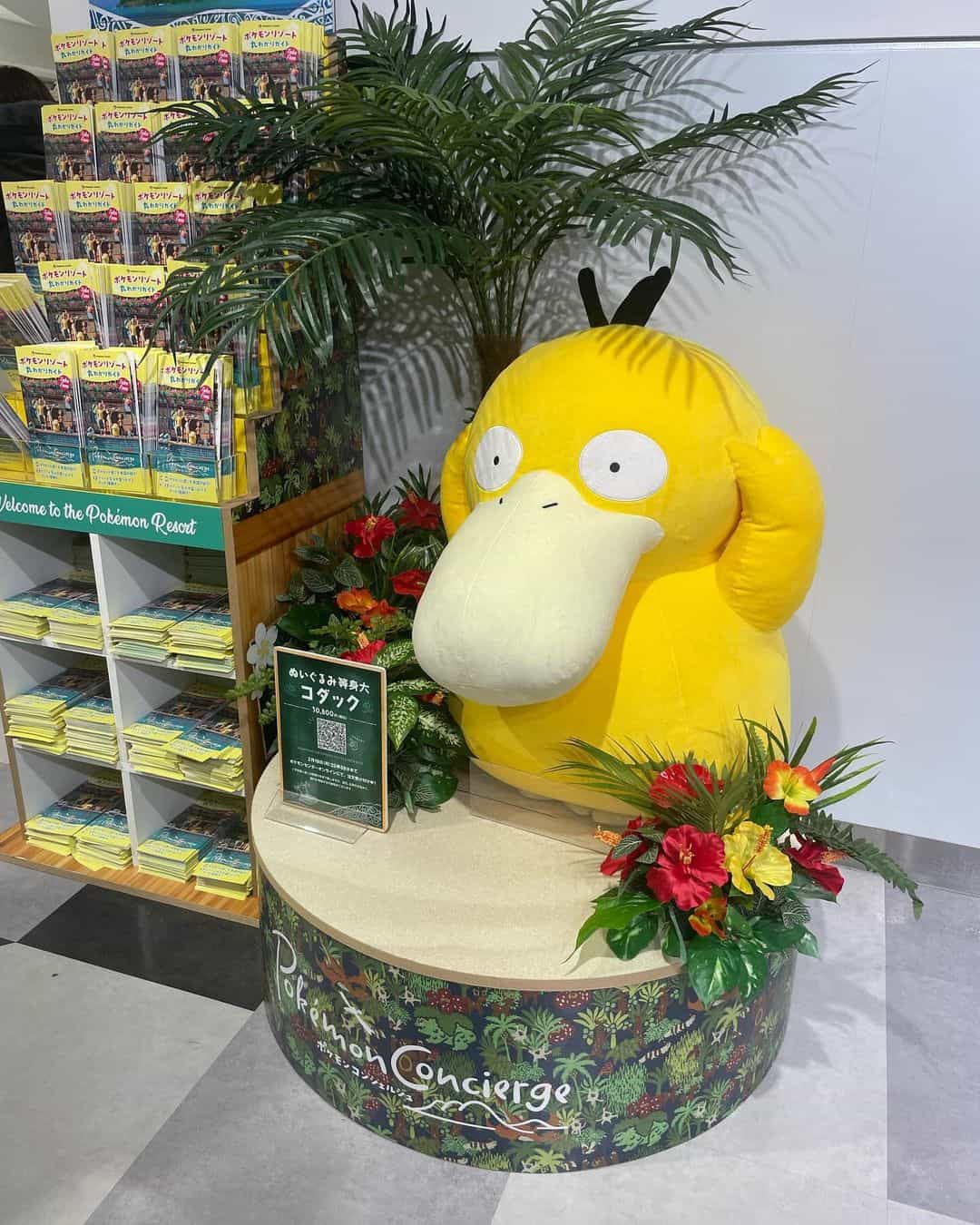 等身大のコダック