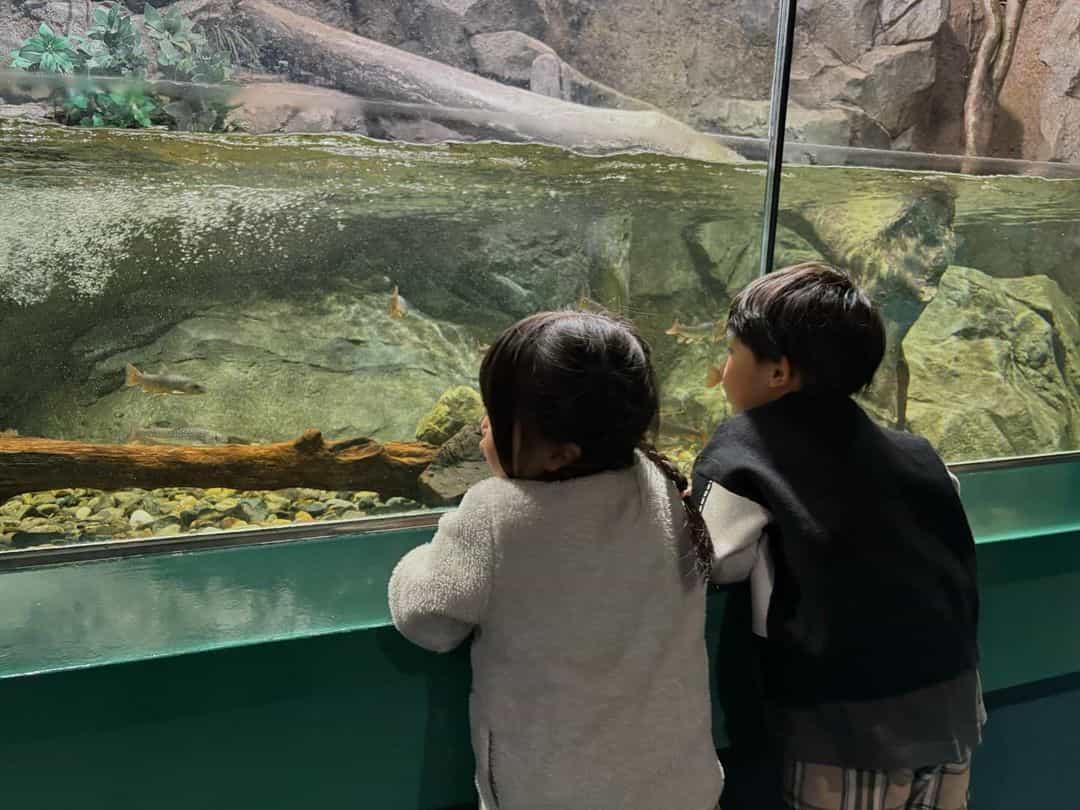 さいたま水族館へ