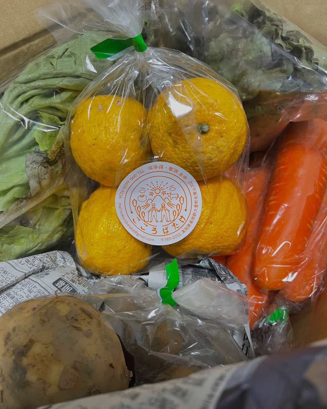 野菜が届きましたっ！