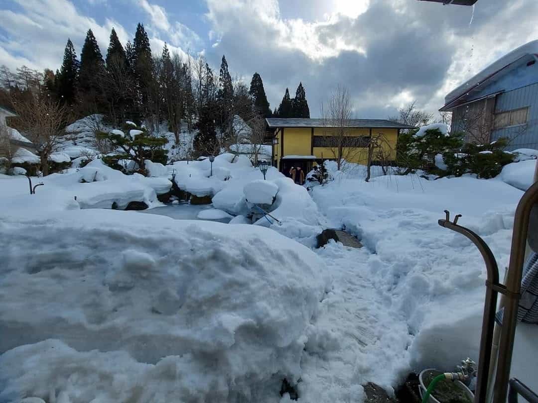 秋田の雪