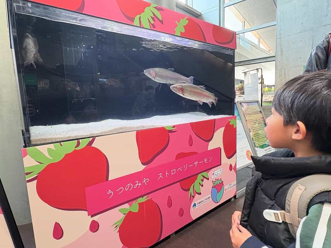栃木のなかがわ水族館へ