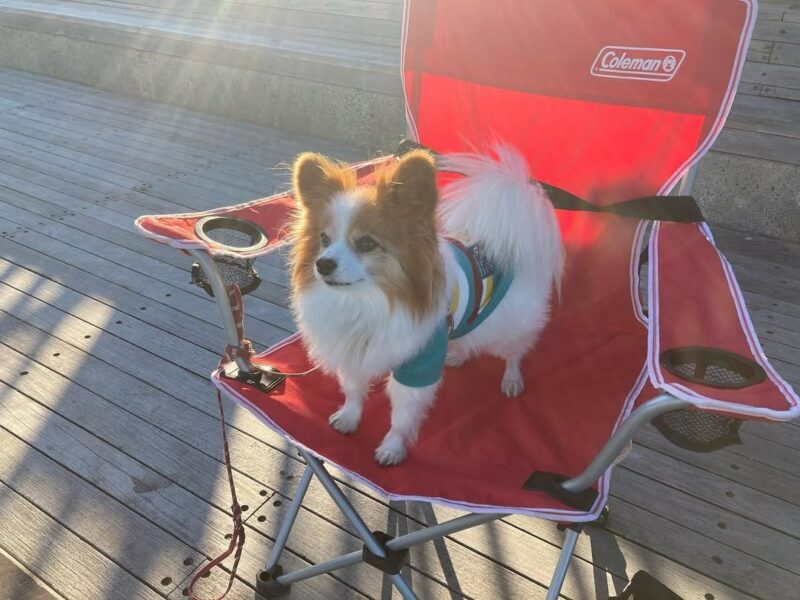 海釣り