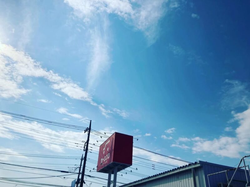 花粉症