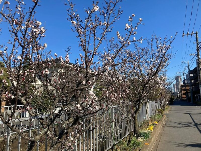 その土地土地の歴史