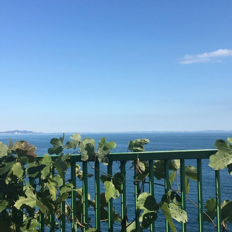 こんちゃん日記 熱海