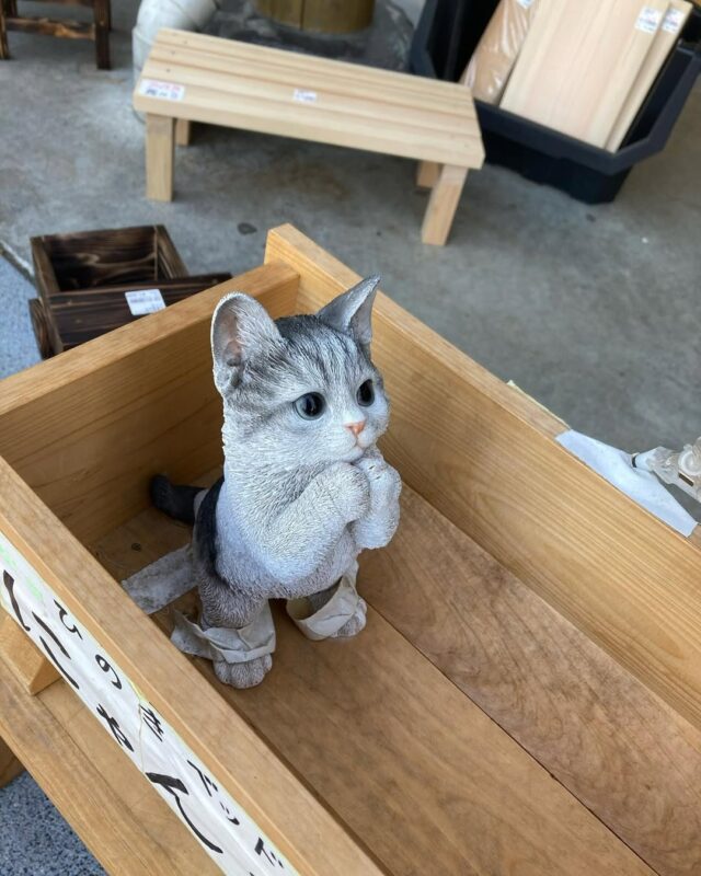 あしがくぼ渓谷国際釣場