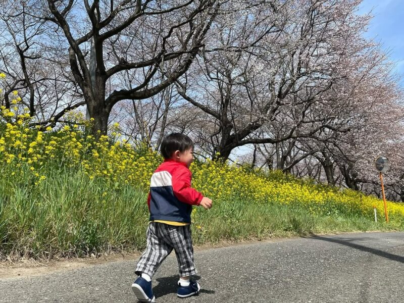 さくら堤公園