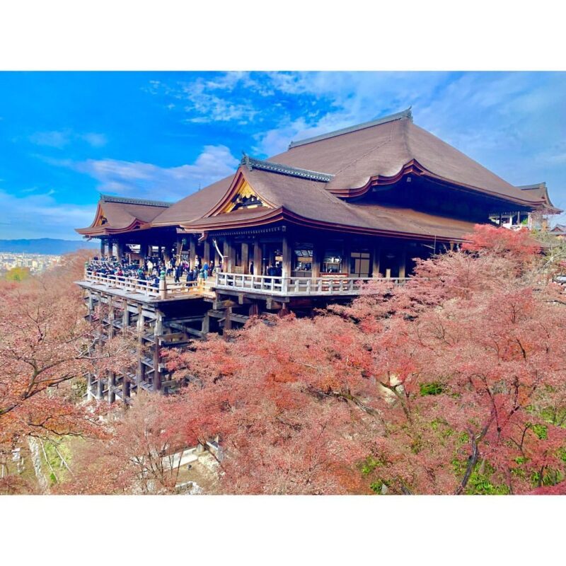 京都旅行