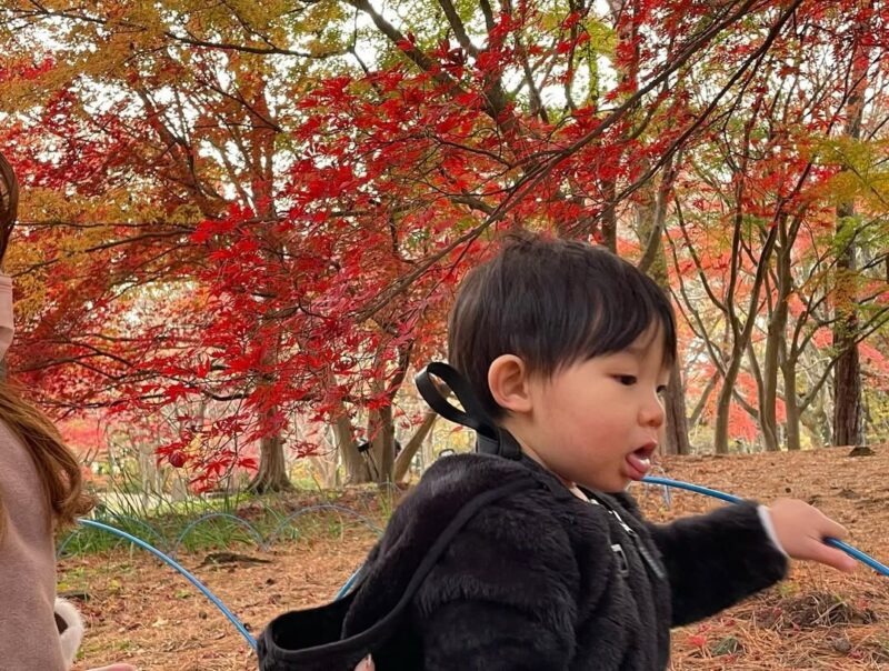 森林公園