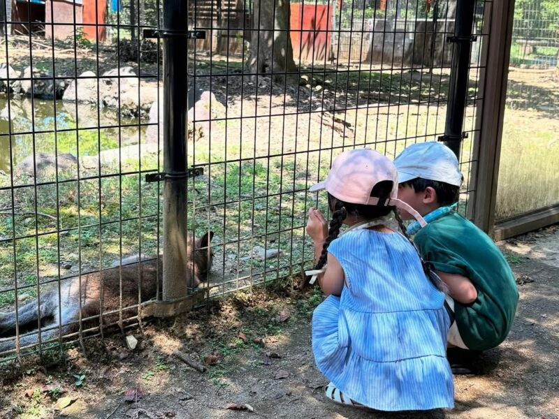 埼玉県こども自然動物公園