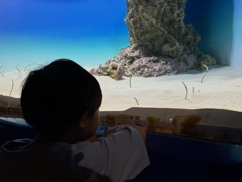 大洗水族館