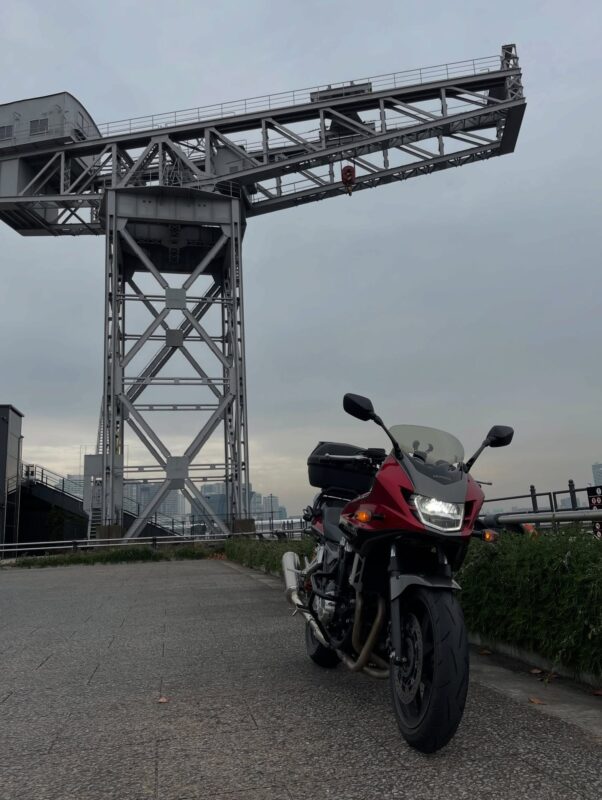 相棒のコイツと