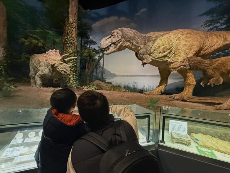 茨城県自然博物館