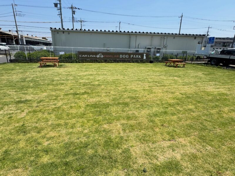 ドッグランの草むしり